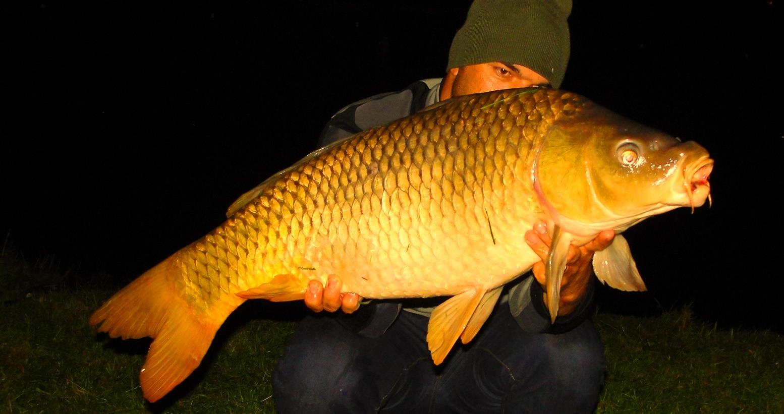 Moara Vlasiei 2 13 - 14 iunie 2014 - 1.JPG